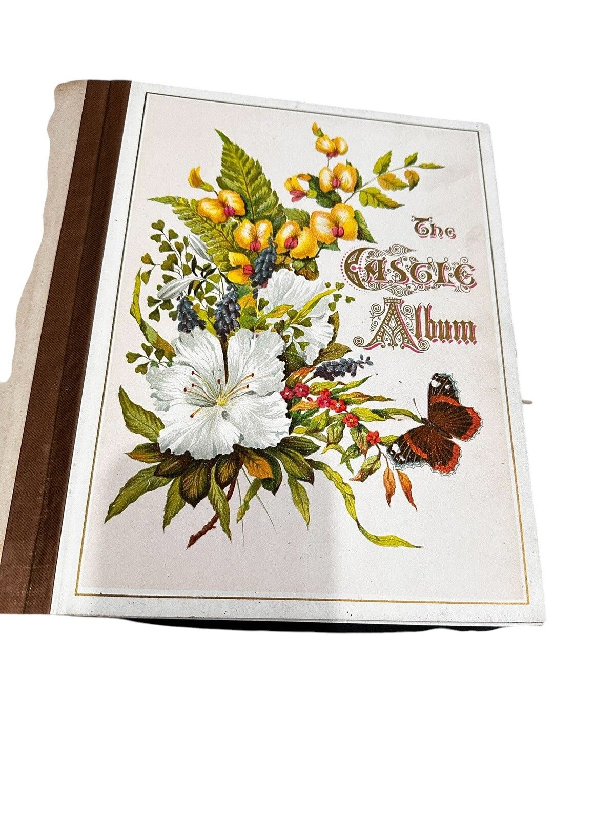 Victorian Leather Bound Photo Album photo vintage