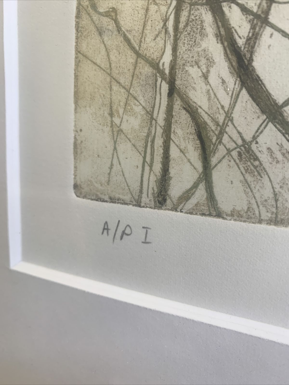 Original Artist Proof Susan Steele Etching And Aquatint Signed And Framed photo vinterior