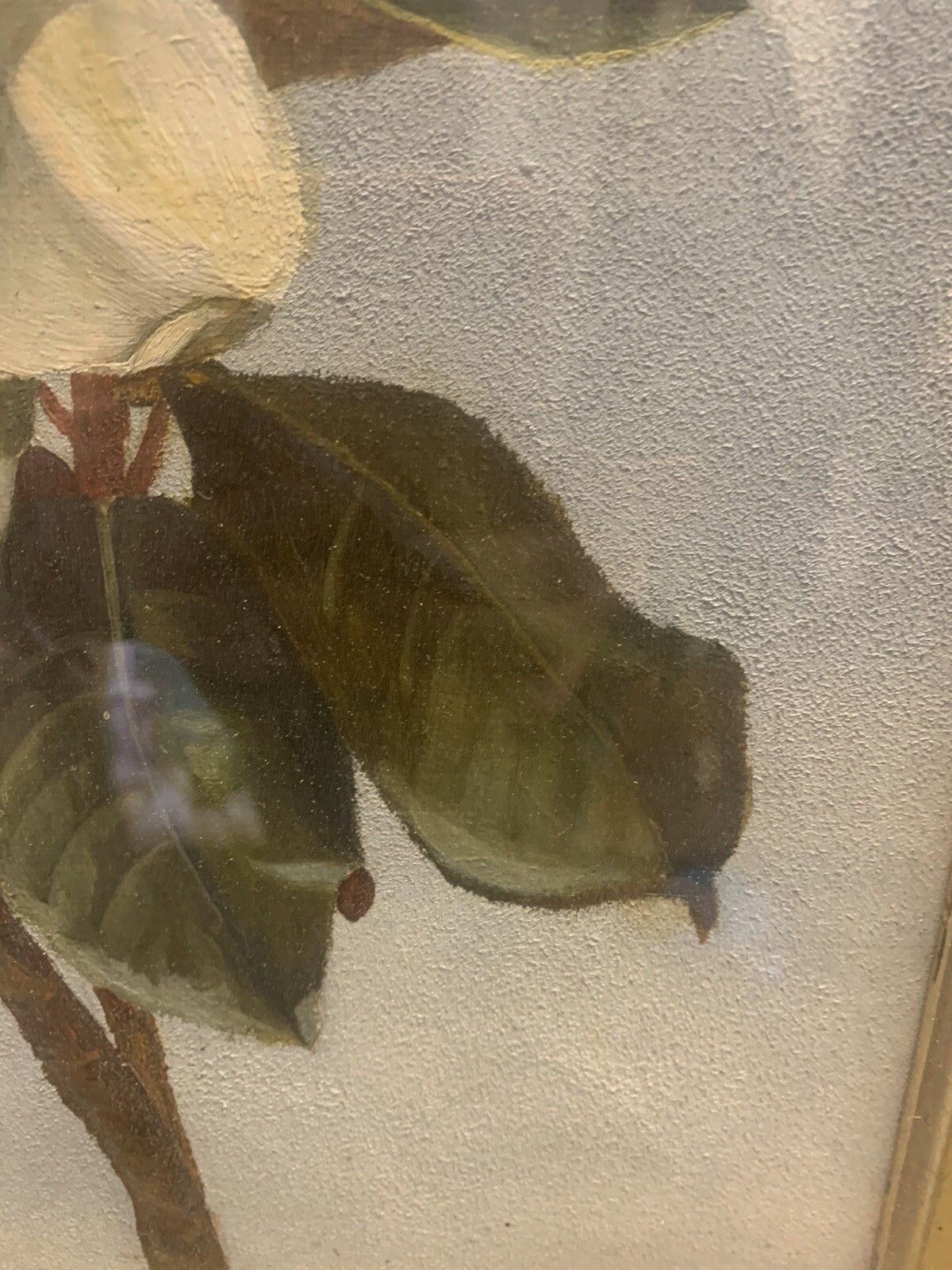 Superb 19th Century Oil On Canvas Floral Botanical Still Life 70cm By 40cm photo for sale