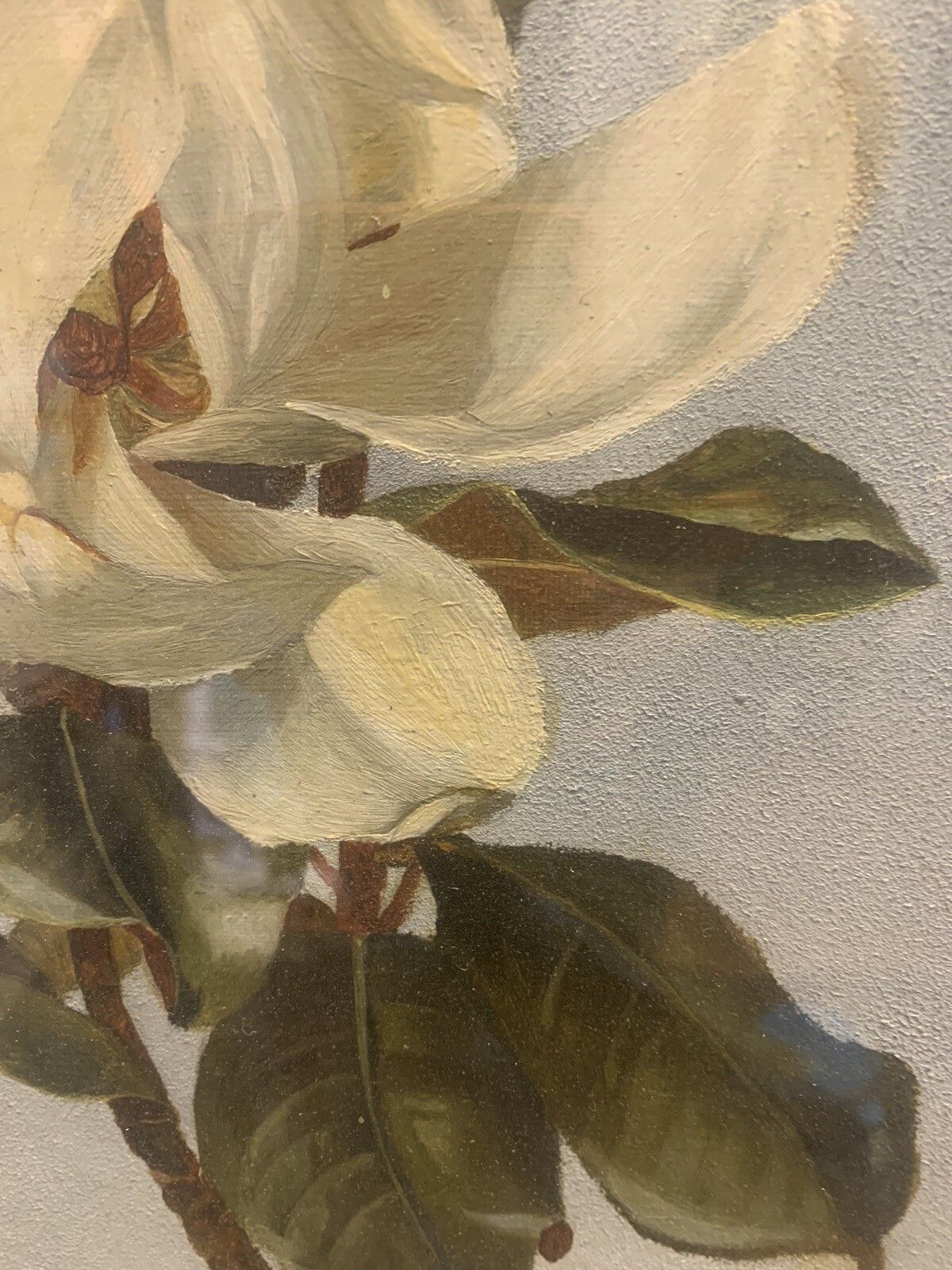 Superb 19th Century Oil On Canvas Floral Botanical Still Life 70cm By 40cm photo Art