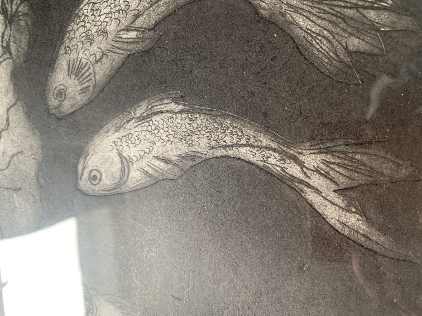 Vintage Framed Glazed Fish Koi Study Ink Drawing Superb 42cm By 35cm photo vinterior