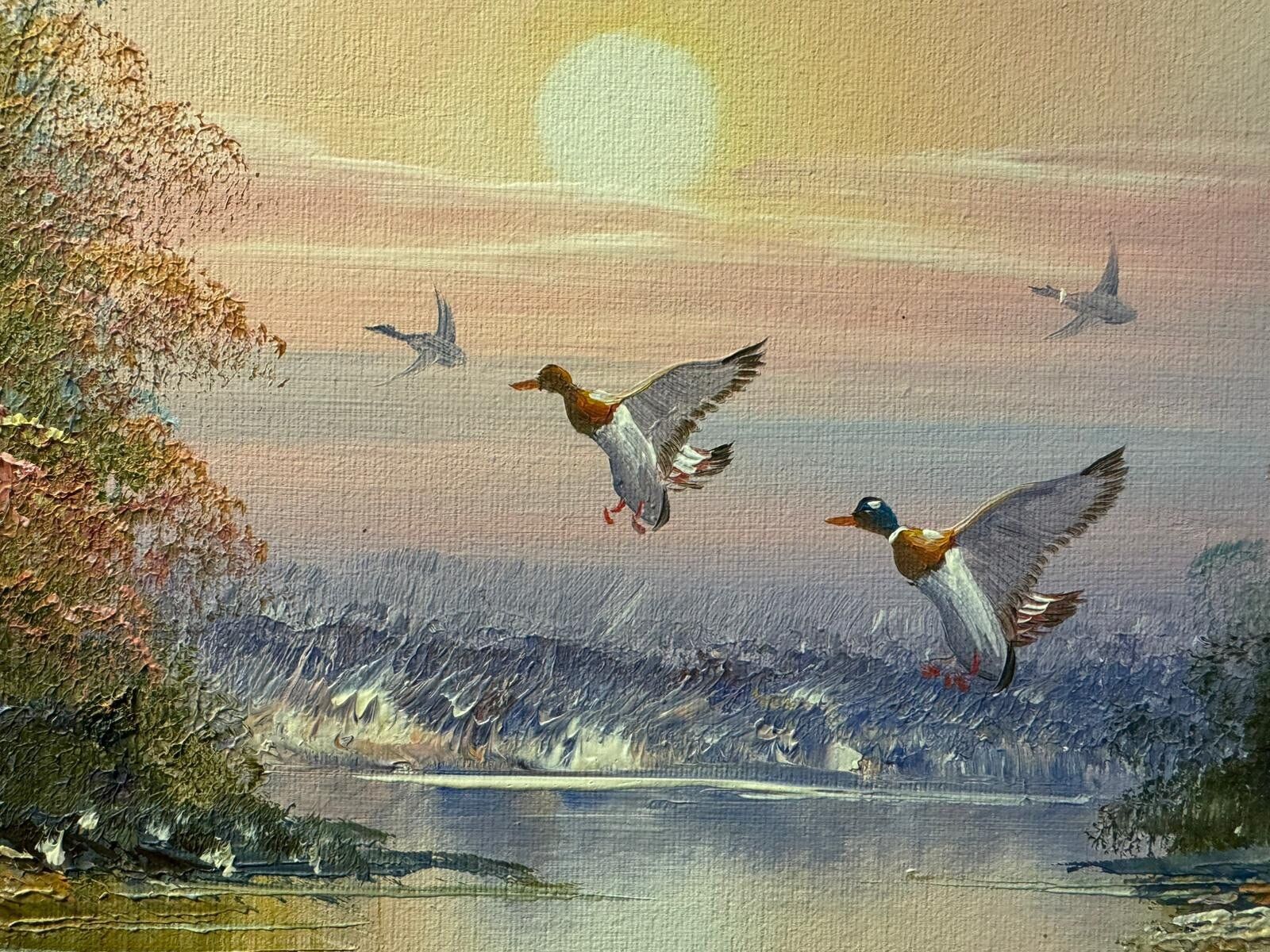 Original Oil On Canavs “Ducks Take Wing" 18.5” By 14.5” Signed By Artist photo Art
