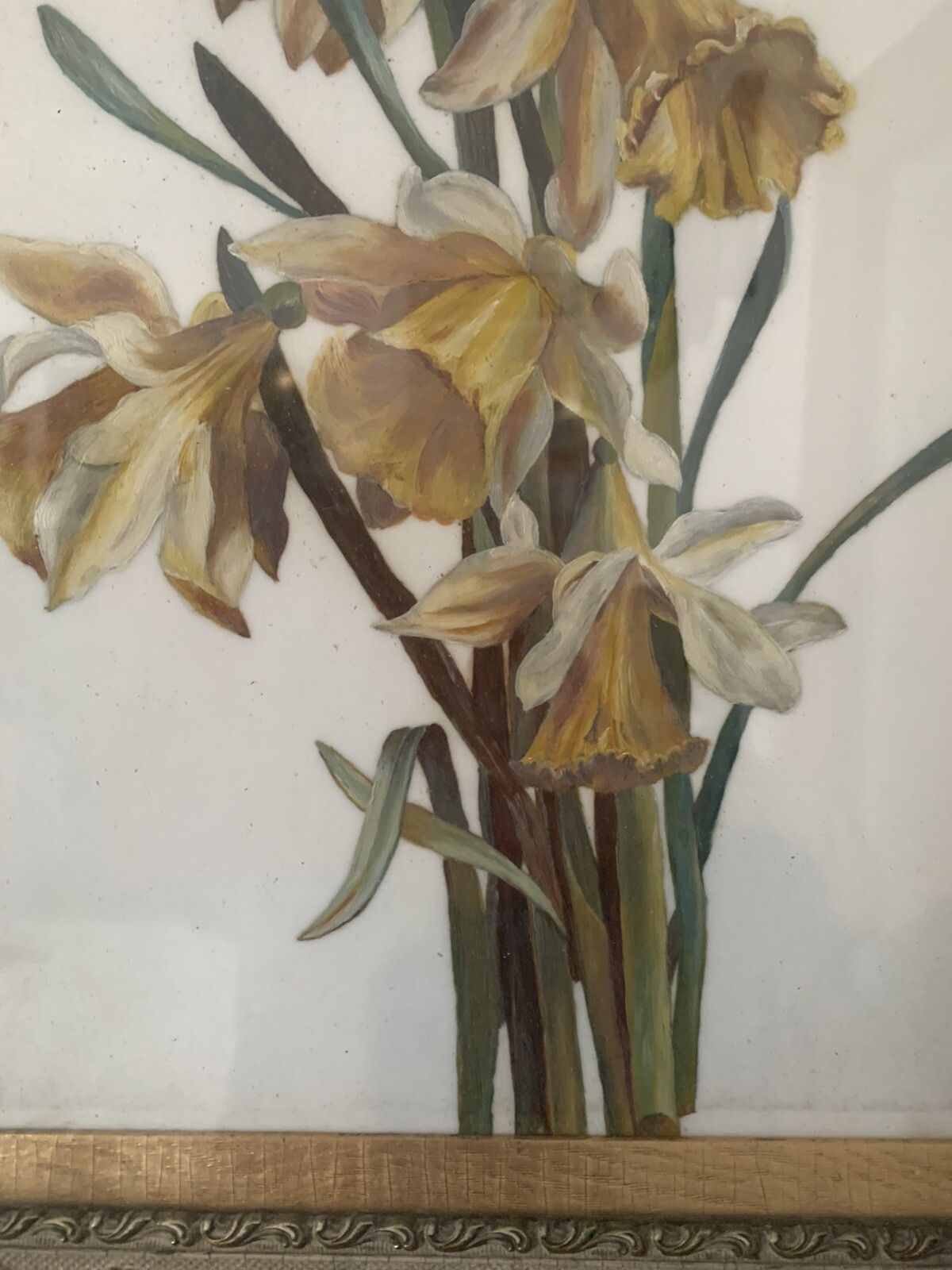 19th Century Botanical Study Flowers Painted On Porcelain / Ceramic Framed photo Art