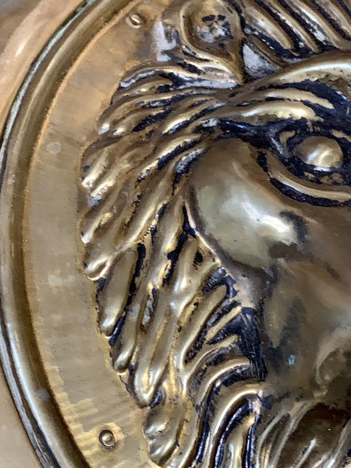 Antique Reclaim 19th C Large Brass Lion Head Plaque   Mounted  Superb  41cmd photo Home Decor