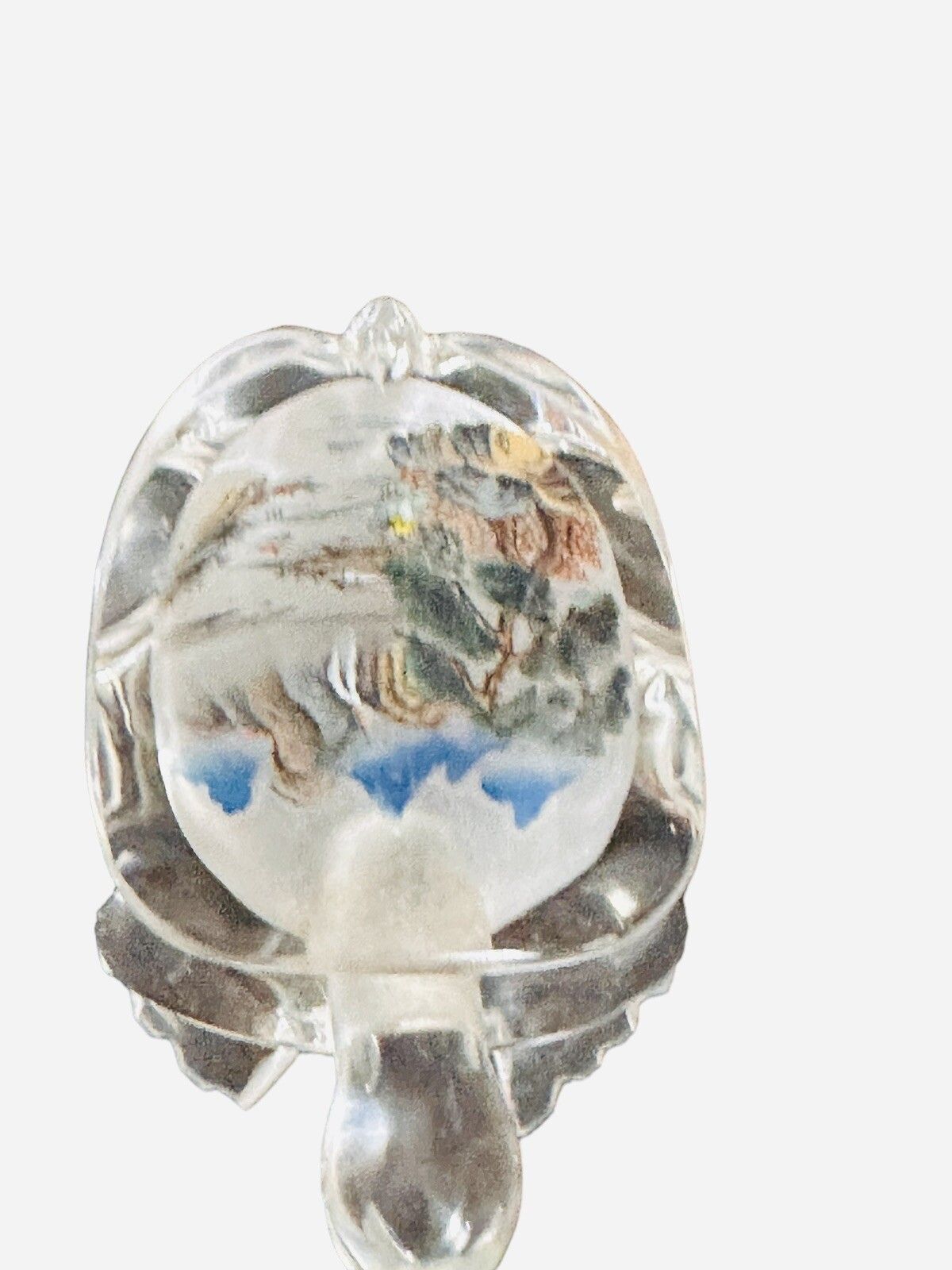 Oriental Reverse Glass Painting Snuff Perfume Bottle In The Form Of A Turtle photo vintage