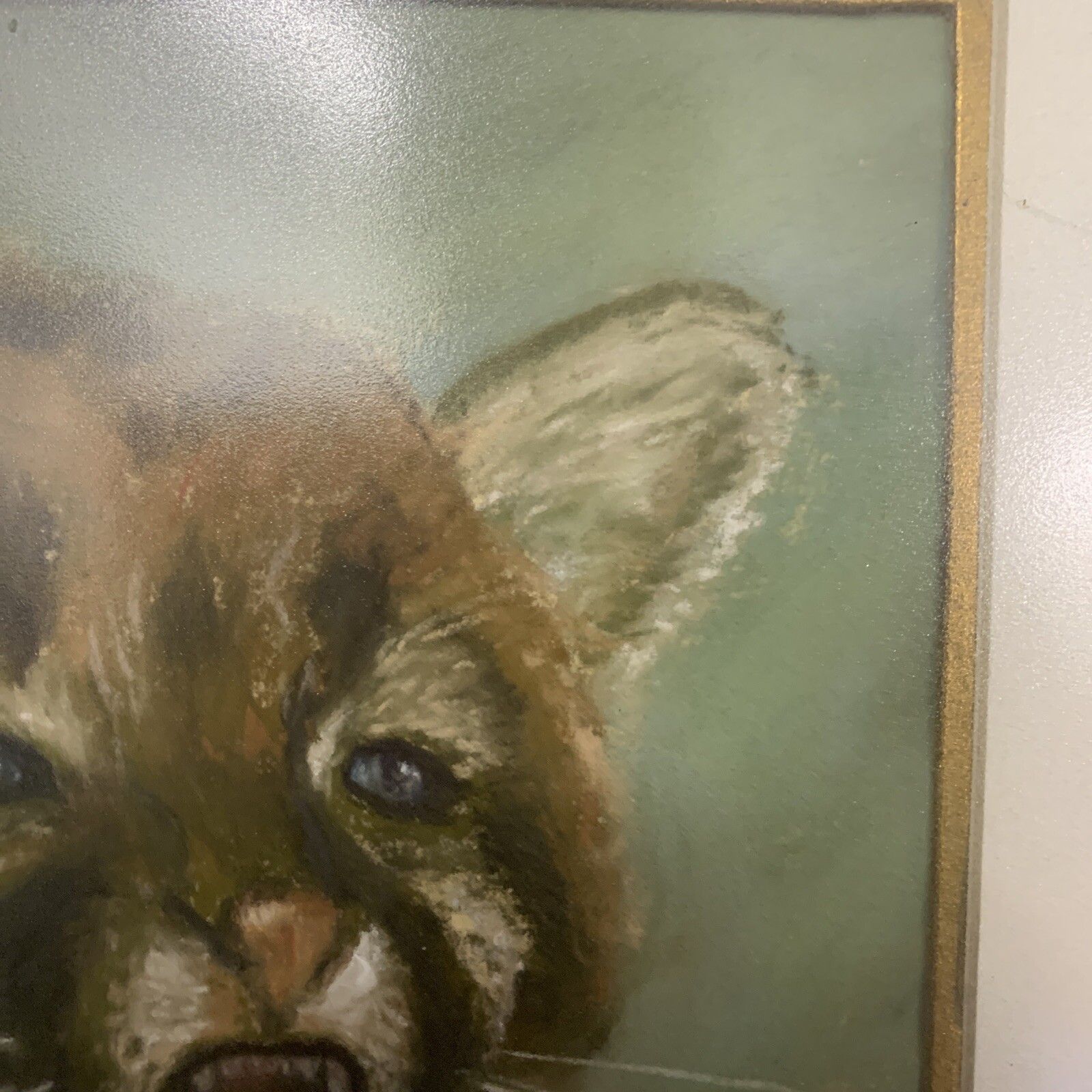 Vintage Mid Century Fine Painting Of A Young Puma Signed By Artist￼ J A Willetts photo Art