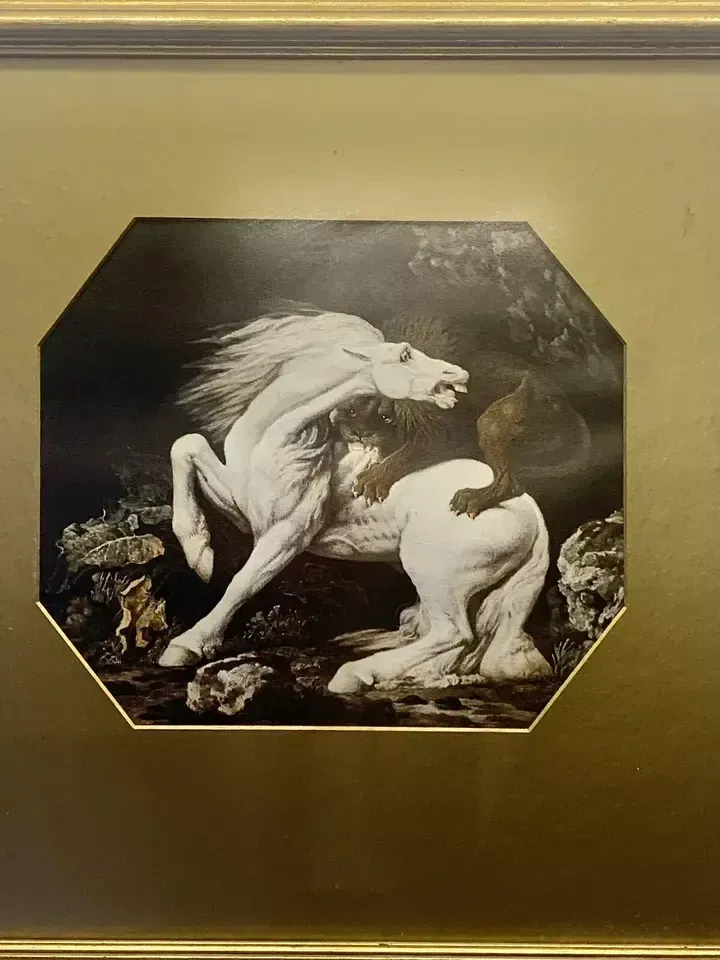 Superb Antique Print By George Stubbs   50cm By 49cm photo furniture