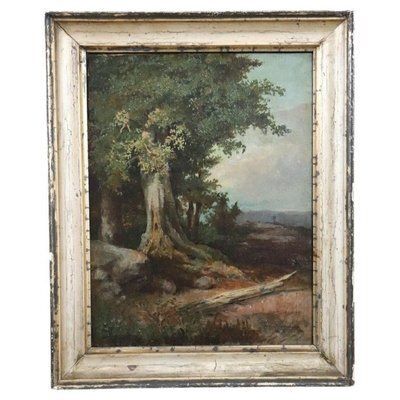 Forest Landscape, Oil Painting On Canvas, Late 19th Century, Framed