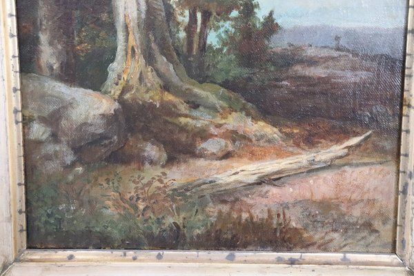 Forest Landscape, Oil Painting On Canvas, Late 19th Century, Framed photo for sale