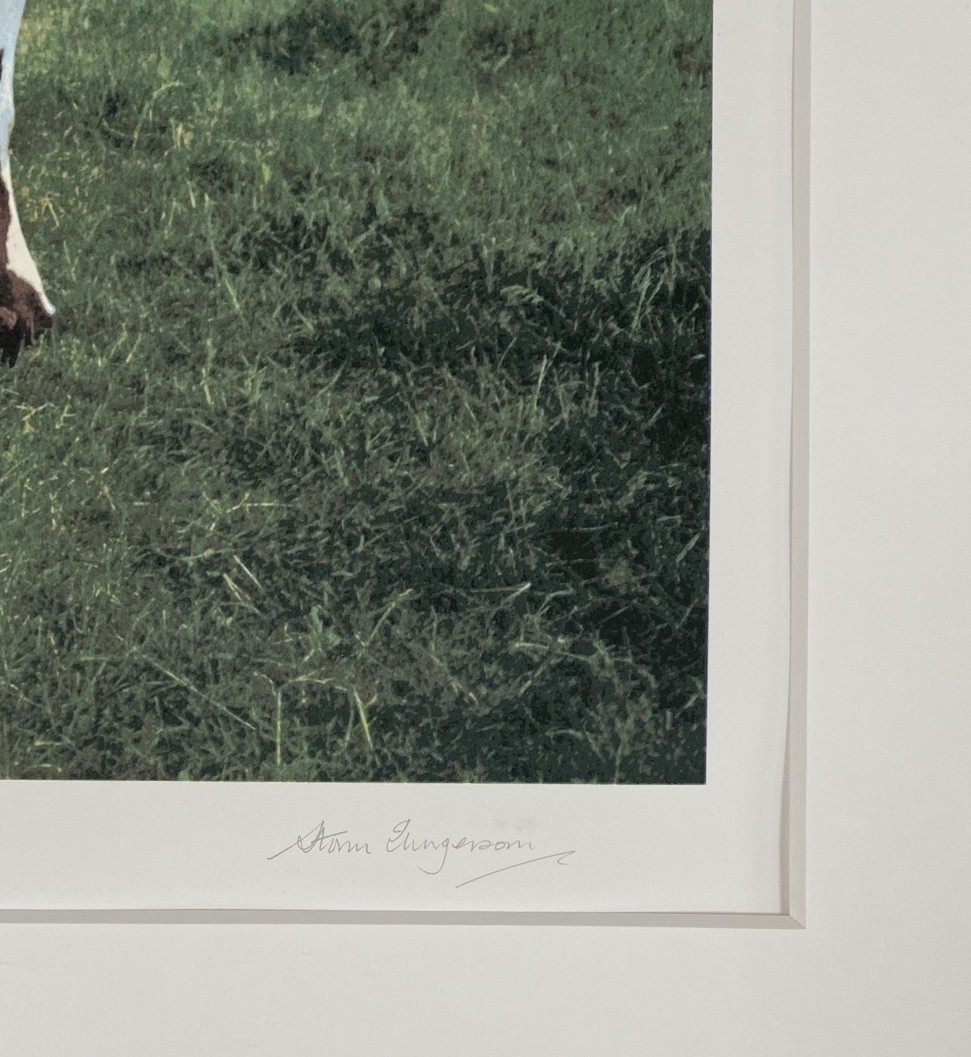 Pink Floyd   Atom Heart Mother By Storm Thorgerson, John Blake photo Art