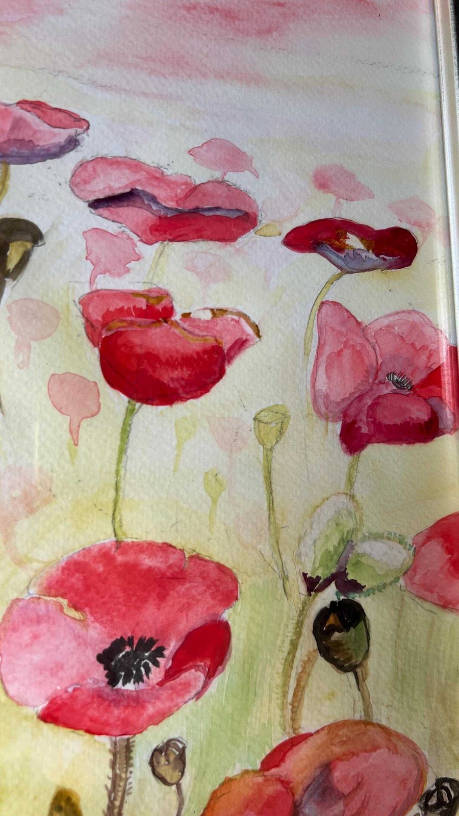 Contemporary Signed Watercolour ‘Wwi Peace’ Depicting Poppies By Catriona Cattle photo vinterior