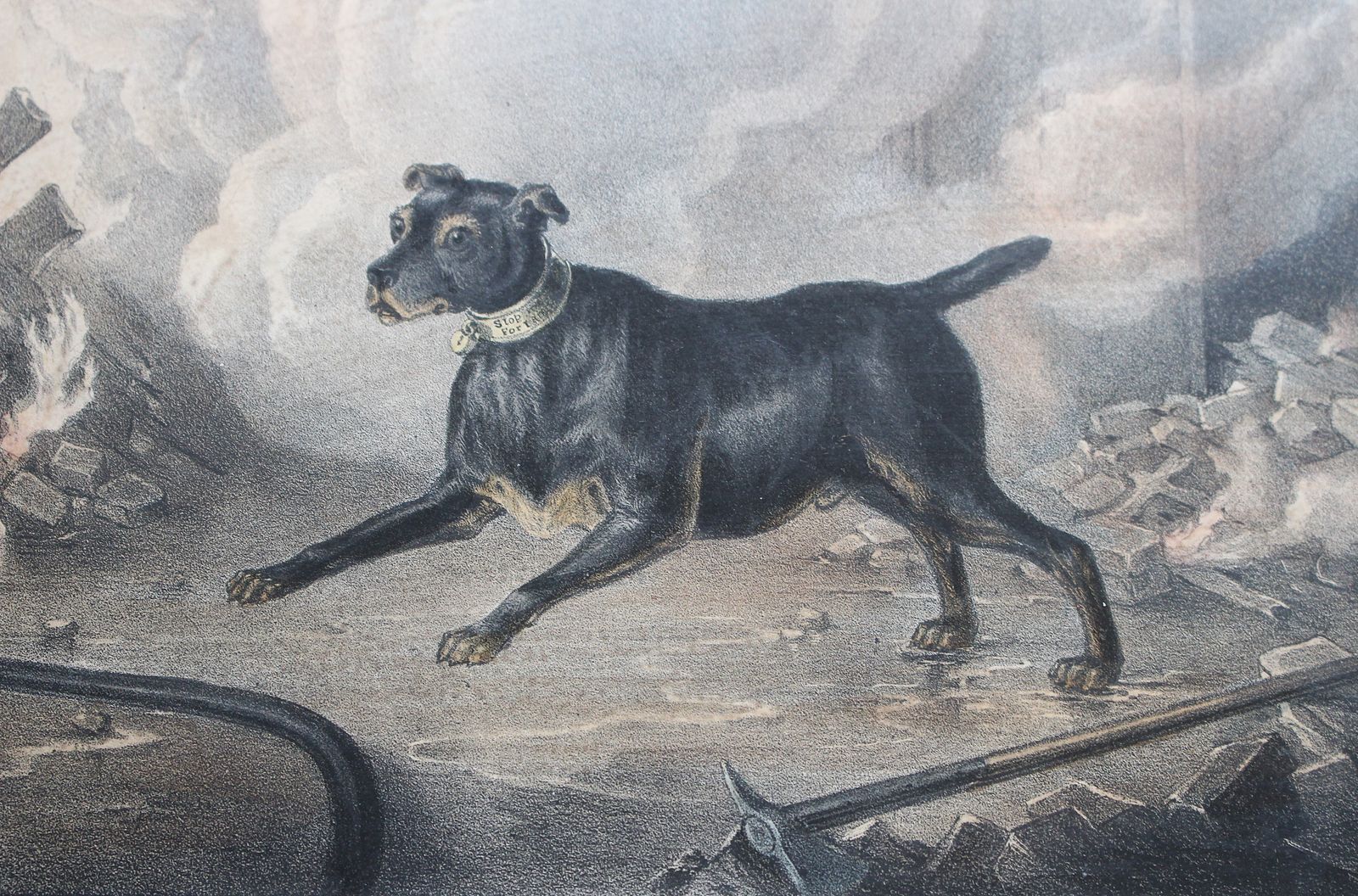 Framed Original Lithograph Chance The London Fireman’s Dog By William Heath C1834 photo Art