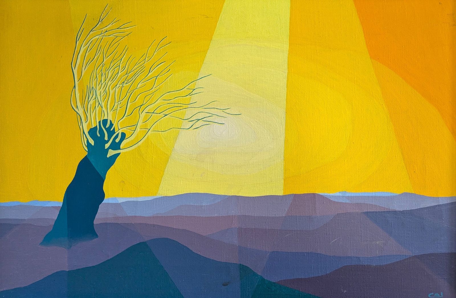 Sunlit Tree Oil Painting, Mid 20th Century photo buy