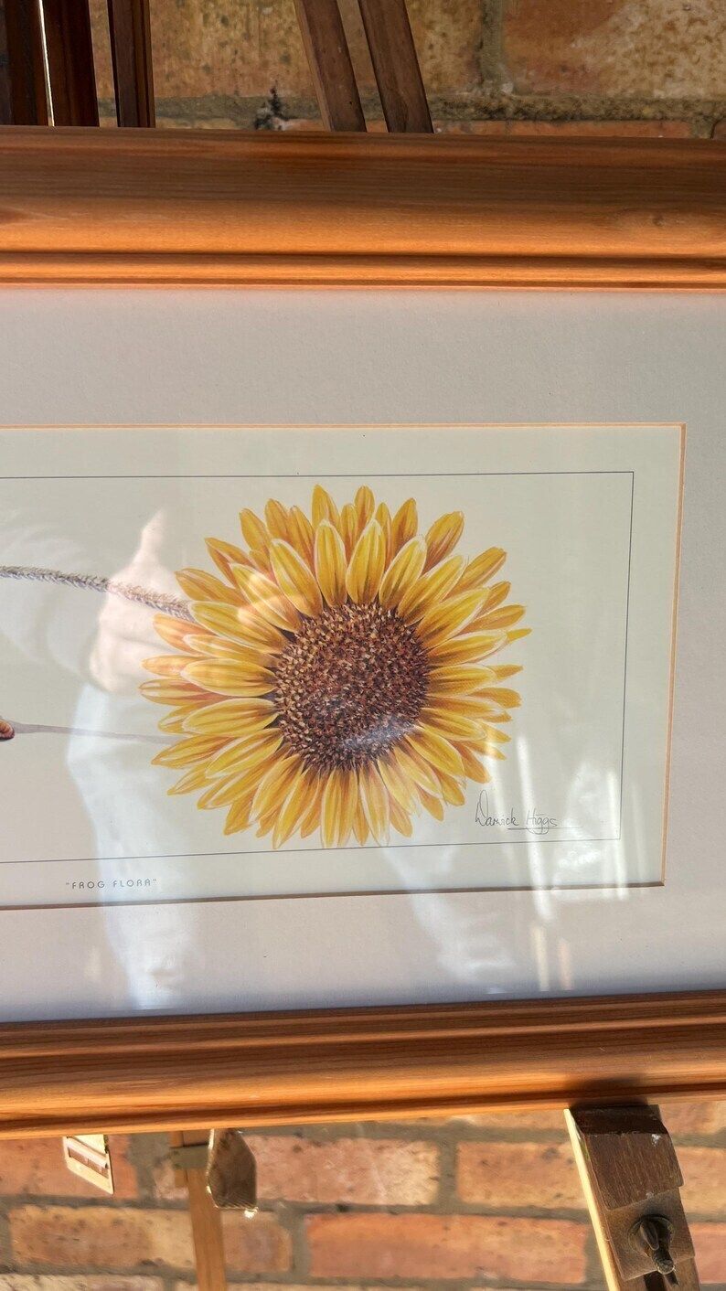 Framed Warwick Higgs ‘Frog Flora’ & ‘Odd One Out’ Illustration Reproductions– Nature Art photo Art