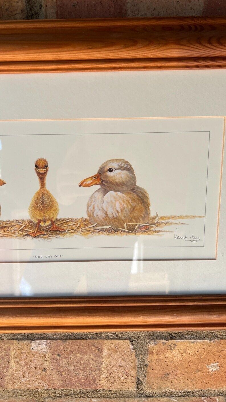 Framed Warwick Higgs ‘Frog Flora’ & ‘Odd One Out’ Illustration Reproductions– Nature Art photo 119.0