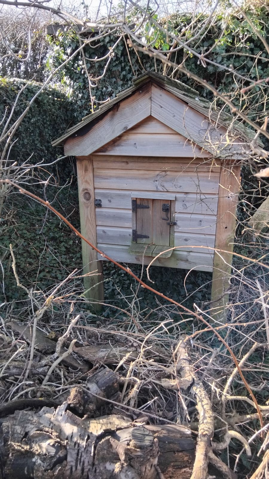 Chicken Coop / Barbecue Storage photo furniture