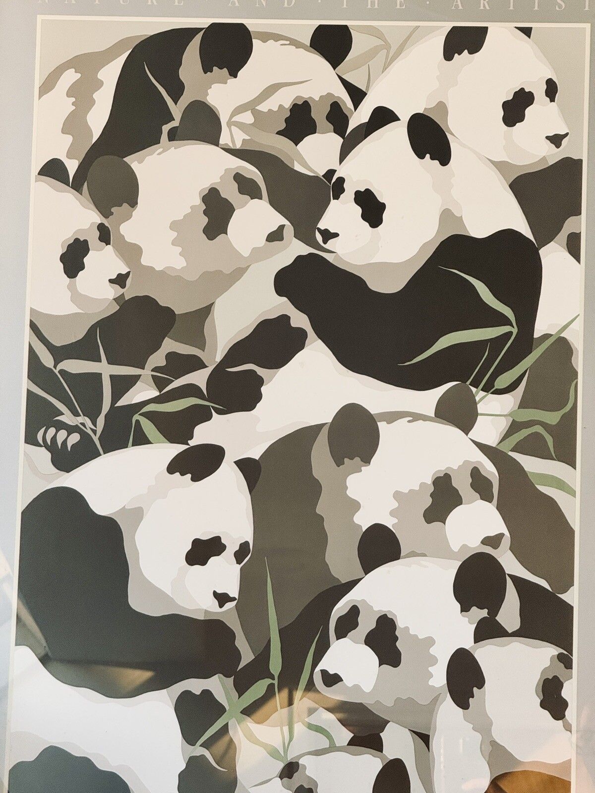 Nature And The Artist Poster  "Panda's" Tom Taylor 1980 photo 77.0