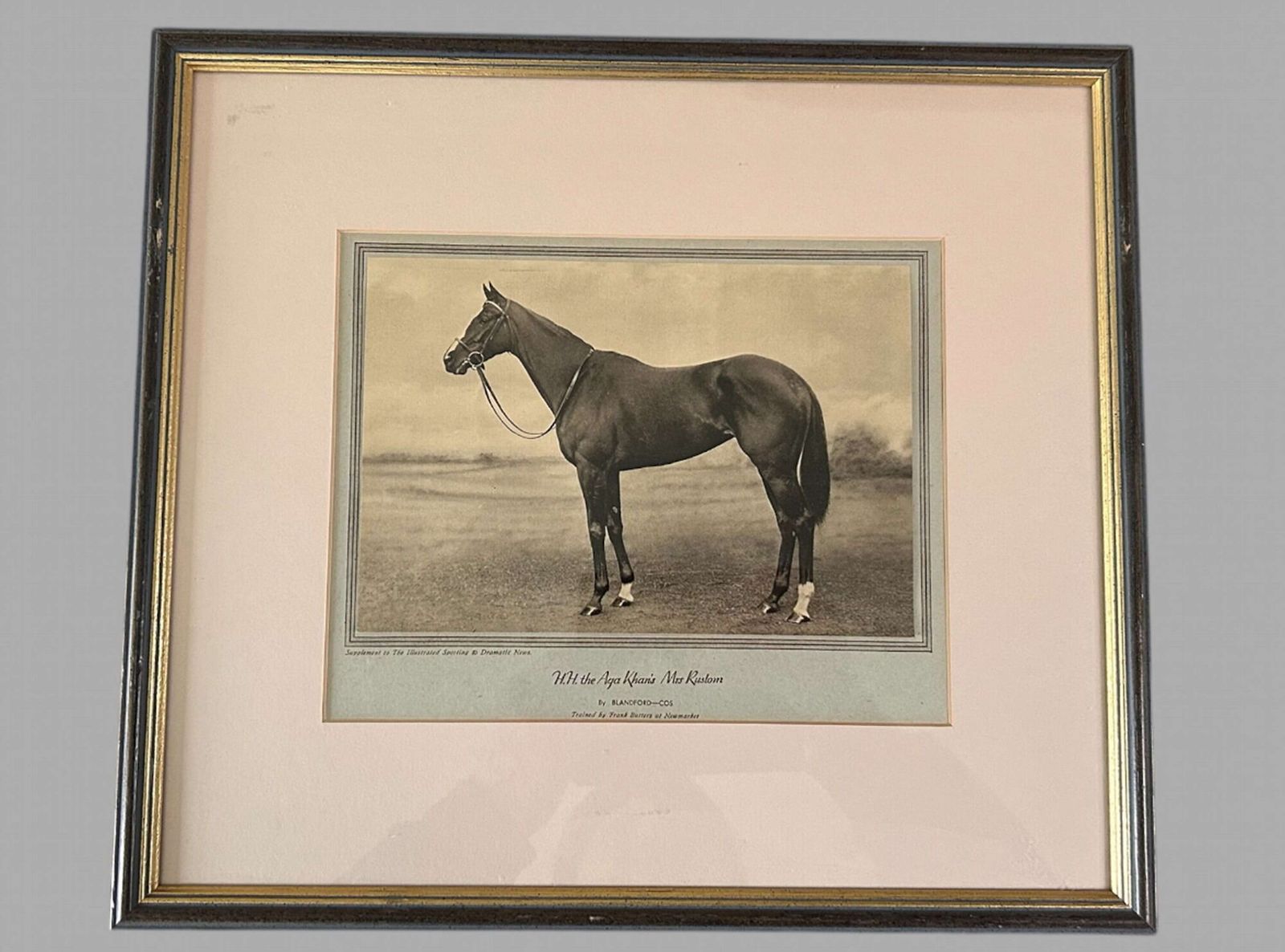 A Wonderful Set Of Eight Famous Racehorses 1933 Framed & Glazed photo buy