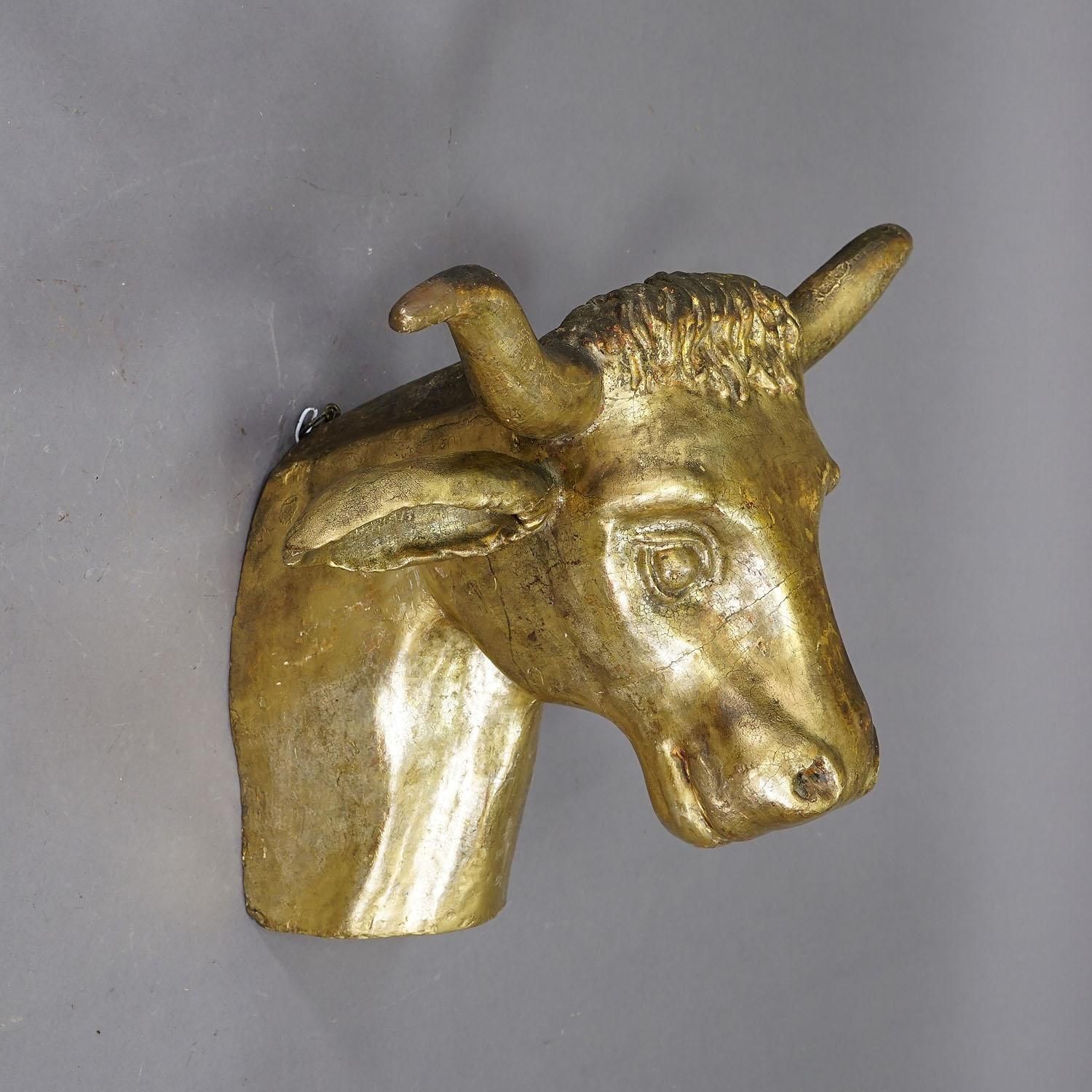 Antique Wooden Carved Gilded Bull's Head Ca. 1840s photo 3050.0