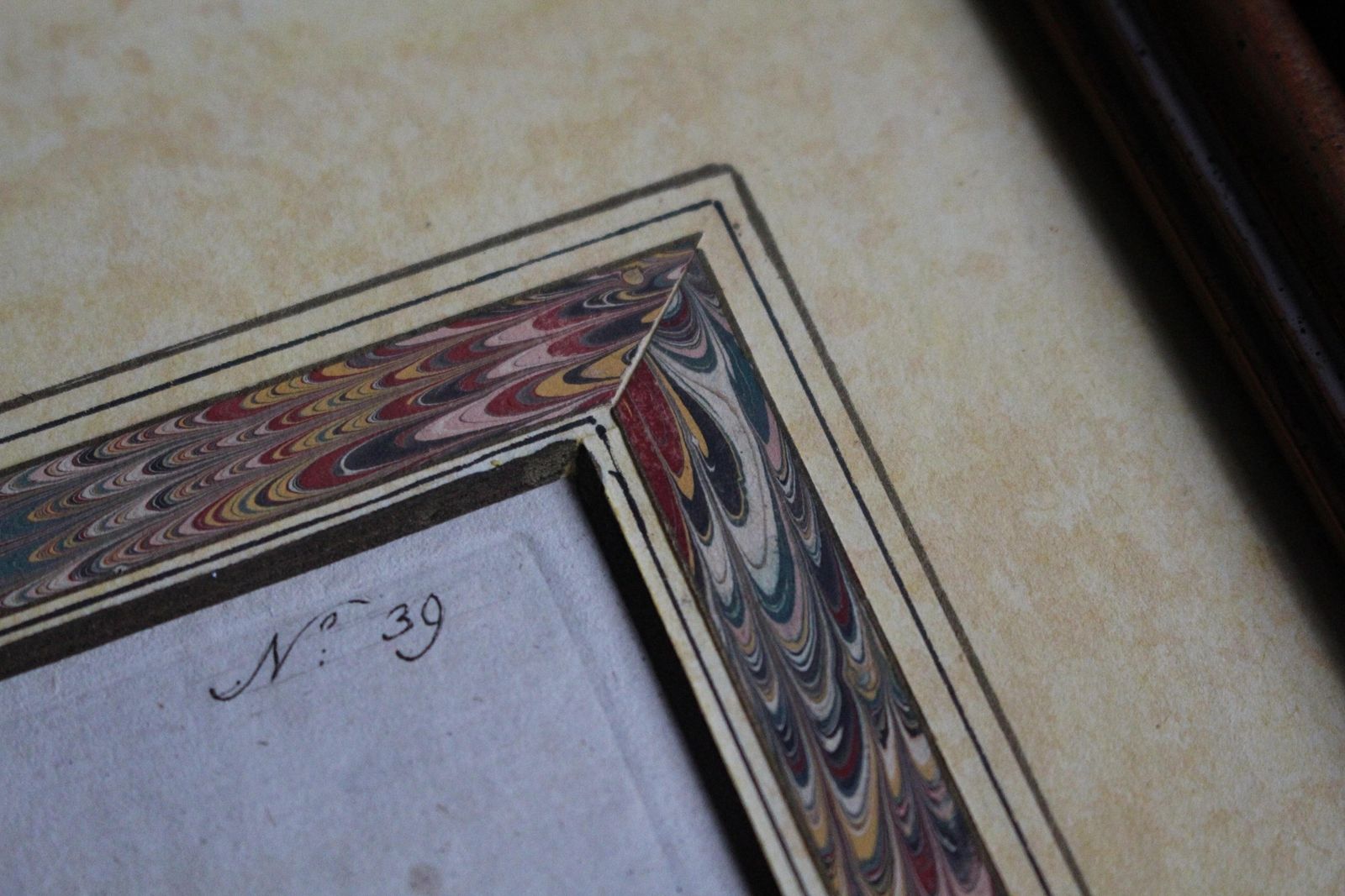 Art Late 18 C W.Curtis Hand Coloured Botanical Lithograph Plates Faux Marble Mounts photo