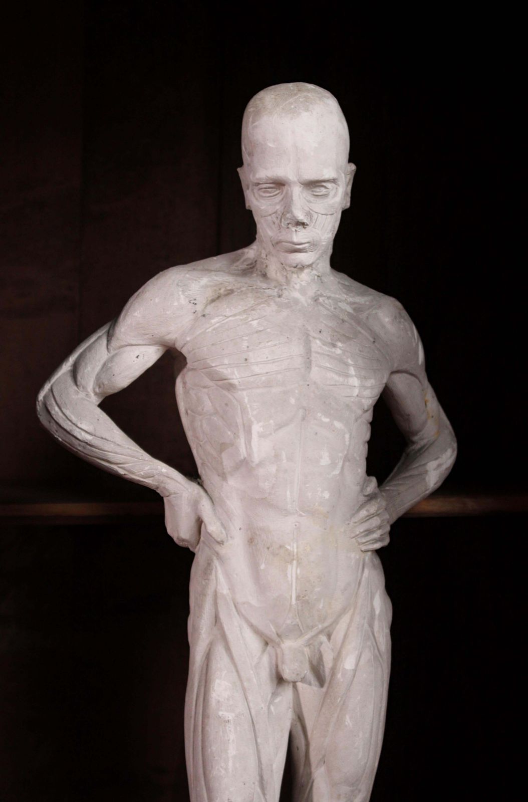 photo for sale Plaster Encoche Sculpture By Mary Syme Boyd (1910 1997) Manner Of Antoine Houdon