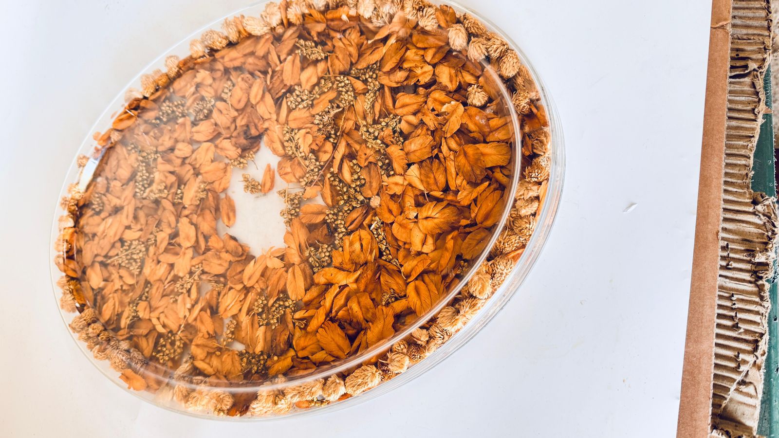 1970s Asian Hard Plastic Tray With Embedded Dried Flowers And Leaves, Oval Shape photo for sale