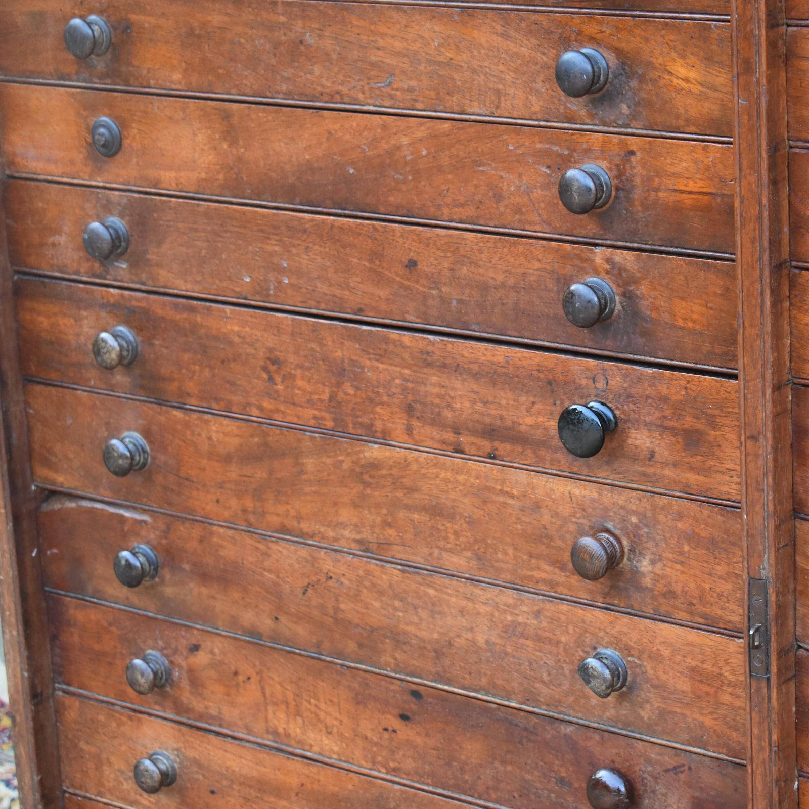 Antique Museum Butterfly Moth Specimen Artist Collector Mahogany Bank Of Drawers photo vinterior