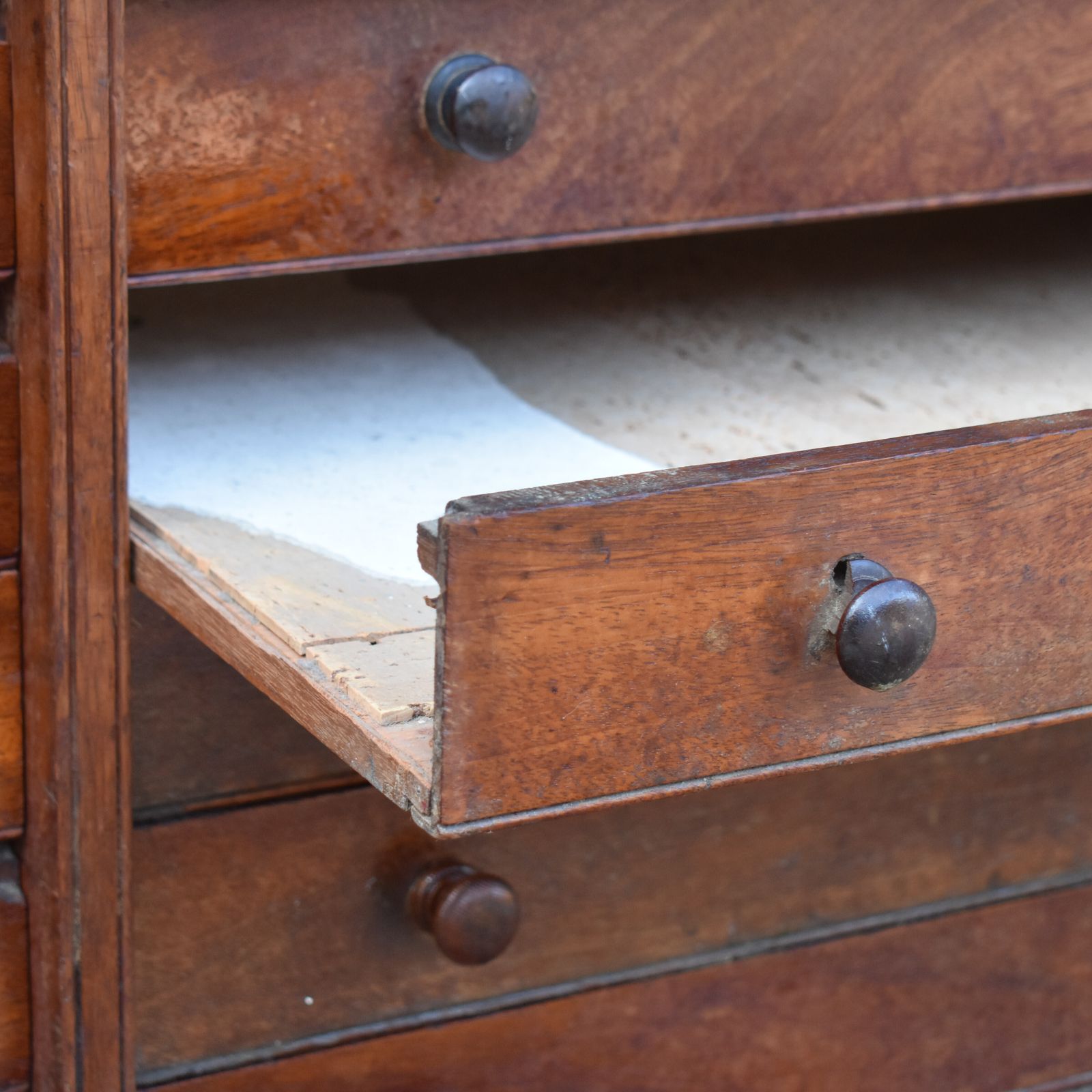 photo vintage Antique Museum Butterfly Moth Specimen Artist Collector Mahogany Bank Of Drawers