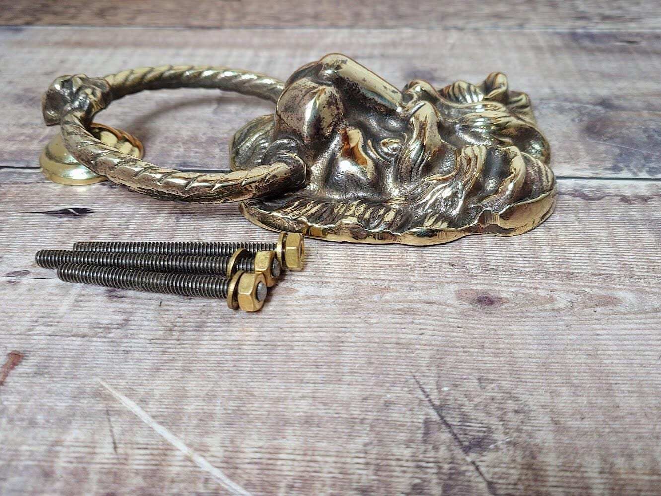 Antique Polished Brass Lion Door Knocker, Salvaged Lion Door Knocker photo vintage