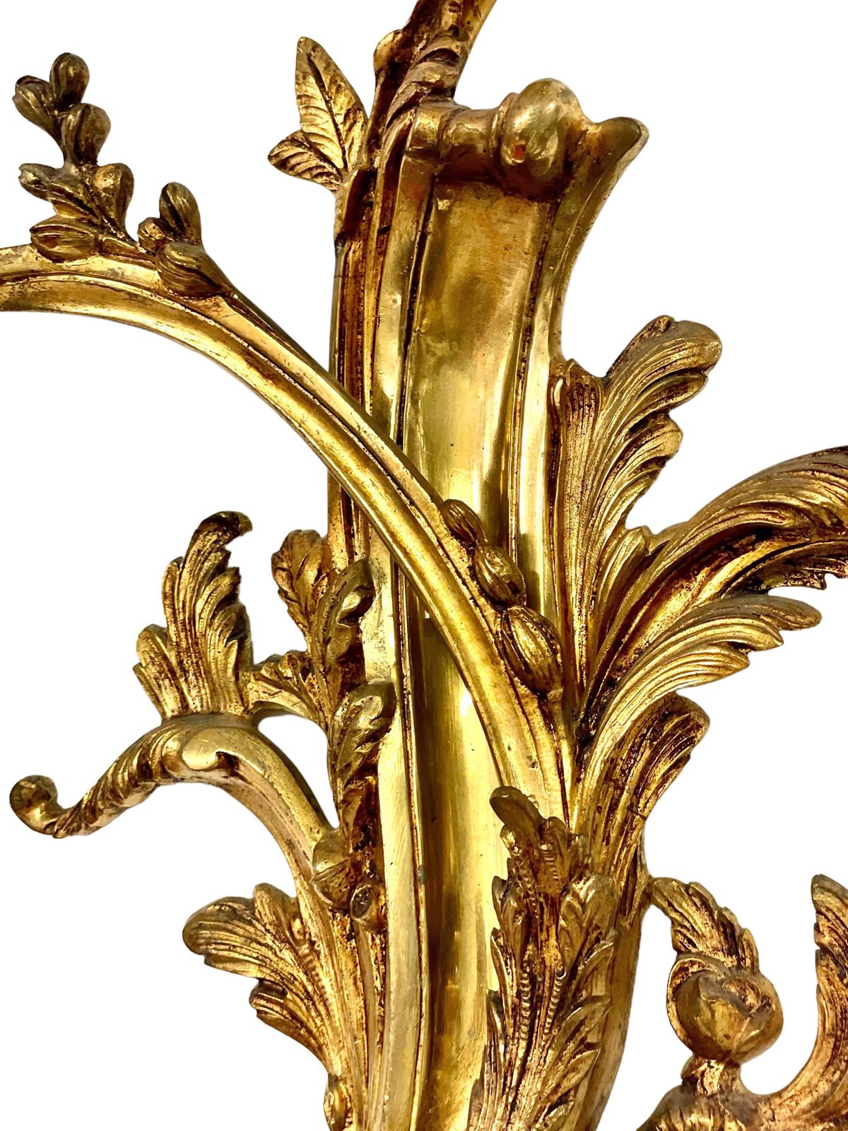 19th Century Pair Of Large Louis XV Gilt Bronze Sconces photo 5334.0