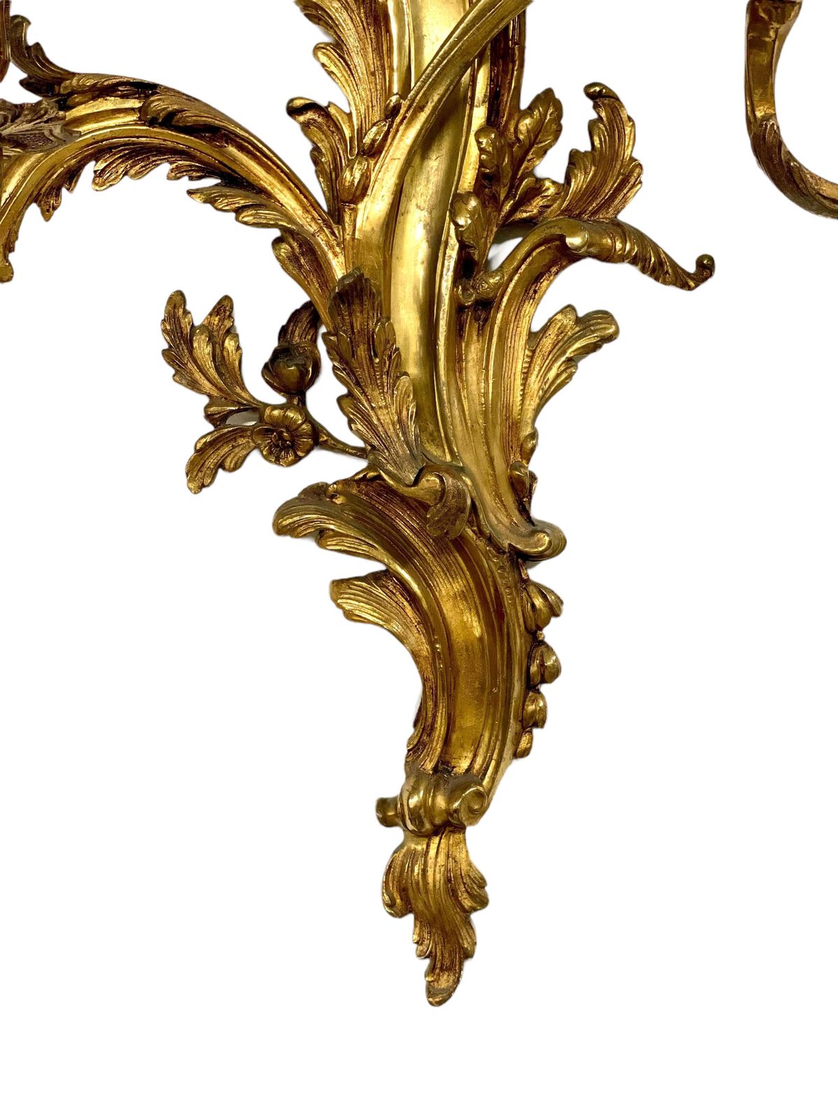 19th Century Pair Of Large Louis XV Gilt Bronze Sconces photo buy
