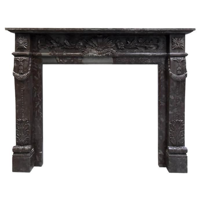 Brown Grey Marble Fireplace 19th Century