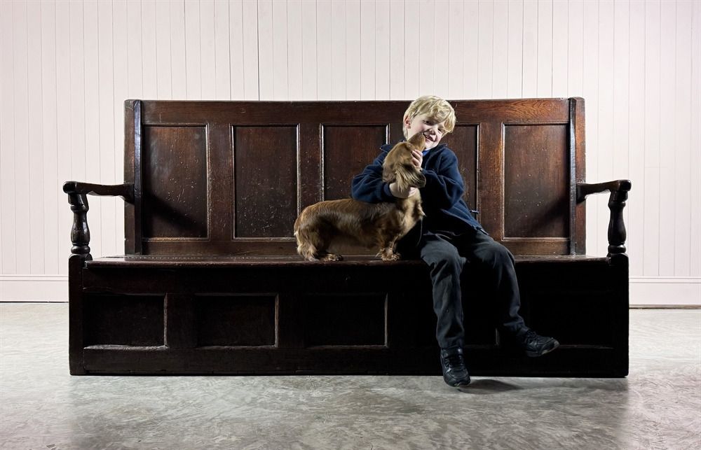 photo for sale 18th Century English Settle, 18th Century And Earlier
