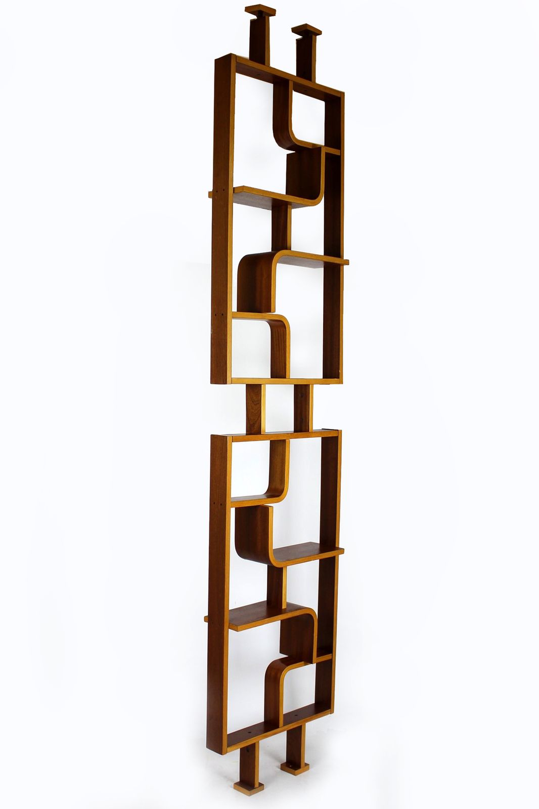 Mid Century Room Divider By Ludvik Volak For Drevopodnik Holesov, 1960s