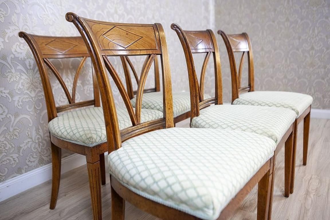 Elm Chairs In White Upholstery, Early 20th Century   Set Of 5 photo Furniture