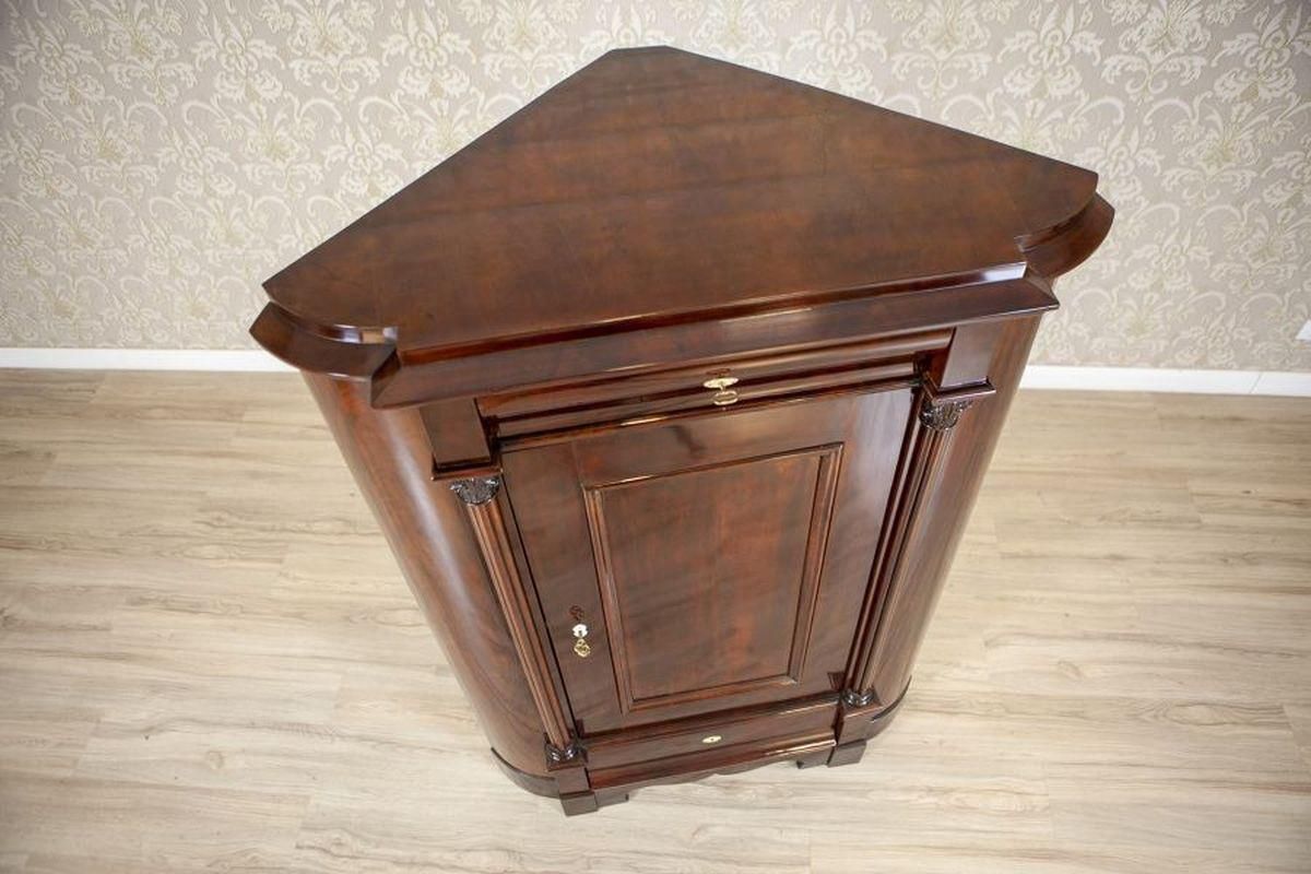 Biedermeier Mahogany Veneer Corner Cabinet, Circa 1870 photo furniture