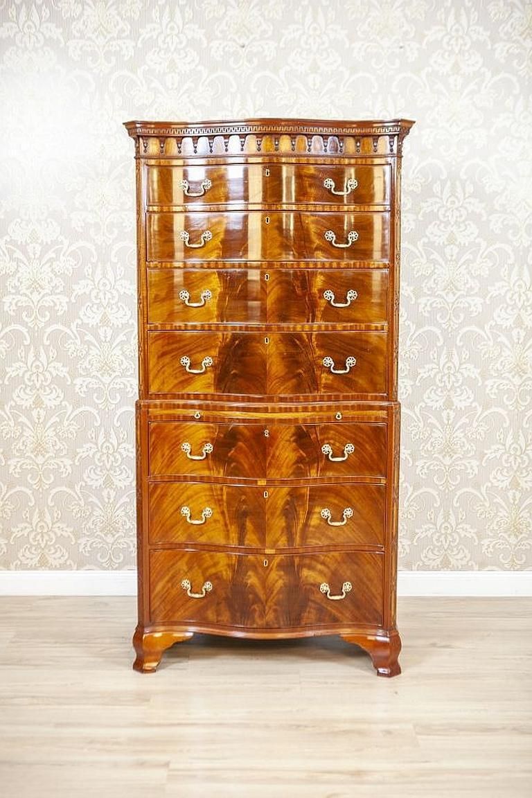 Chiffonier / Dresser From The Mid 19th Century Finished With Shellac photo Furniture