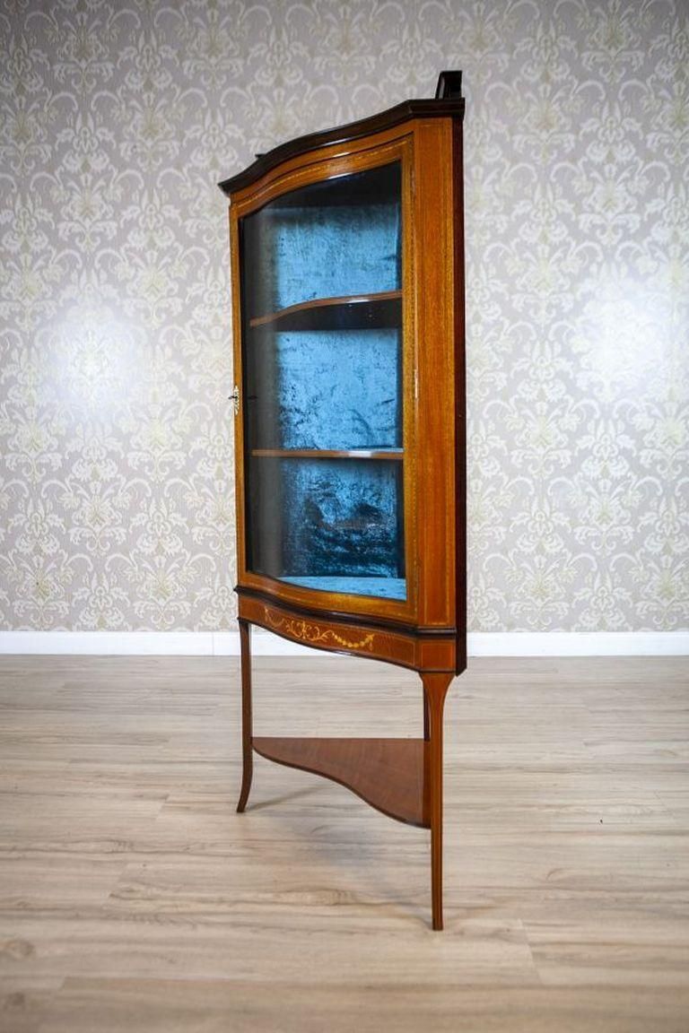 Late 19th Century English Corner Cabinet In Brown photo Furniture