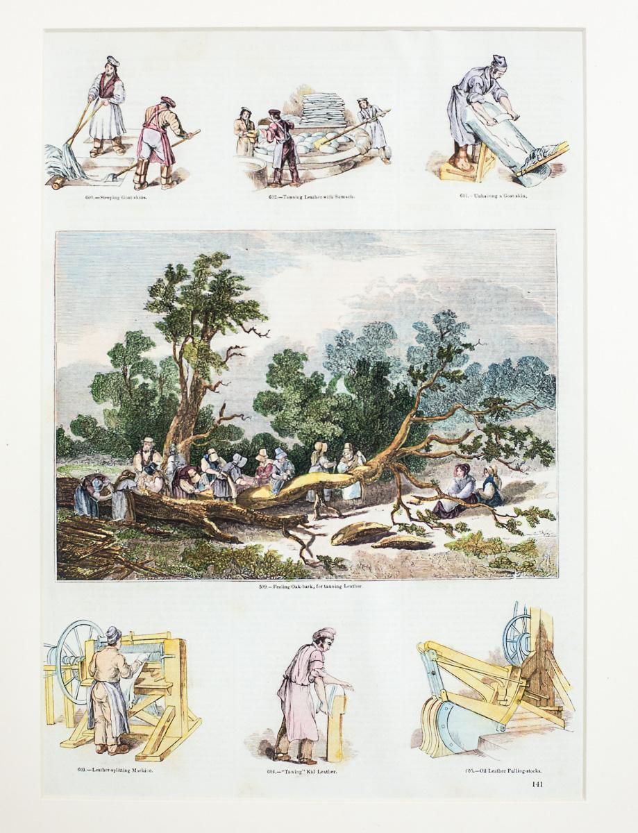 Vintage Print Illustration Of Old Crafts, Tanning, Framed photo for sale