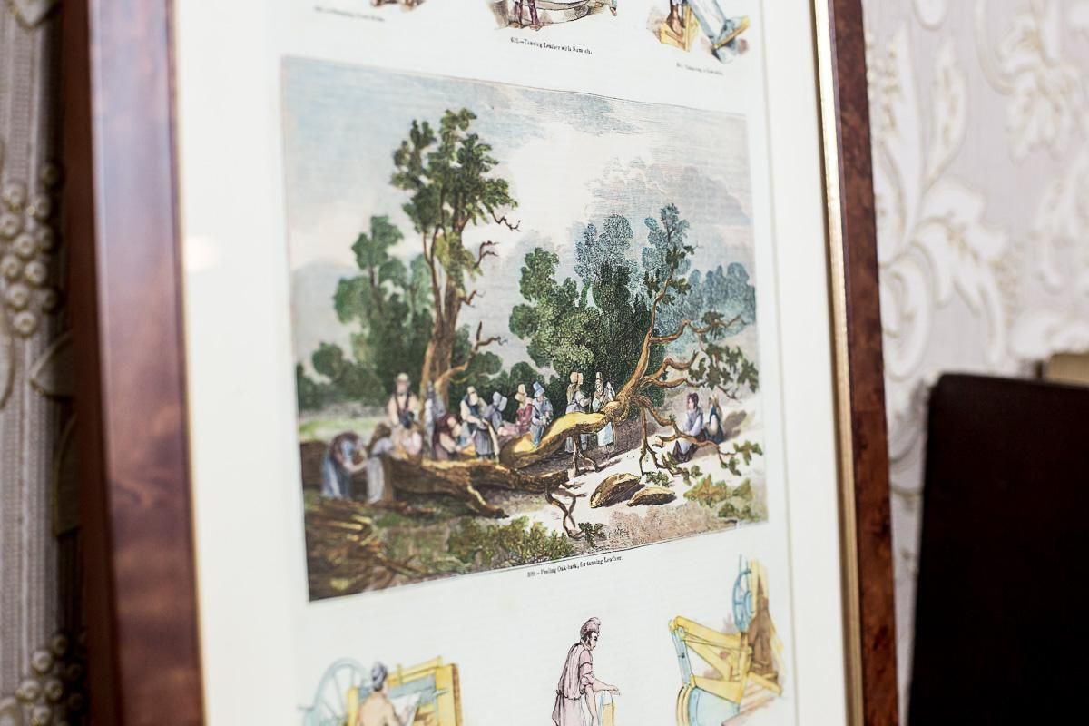 Vintage Print Illustration Of Old Crafts, Tanning, Framed photo buy