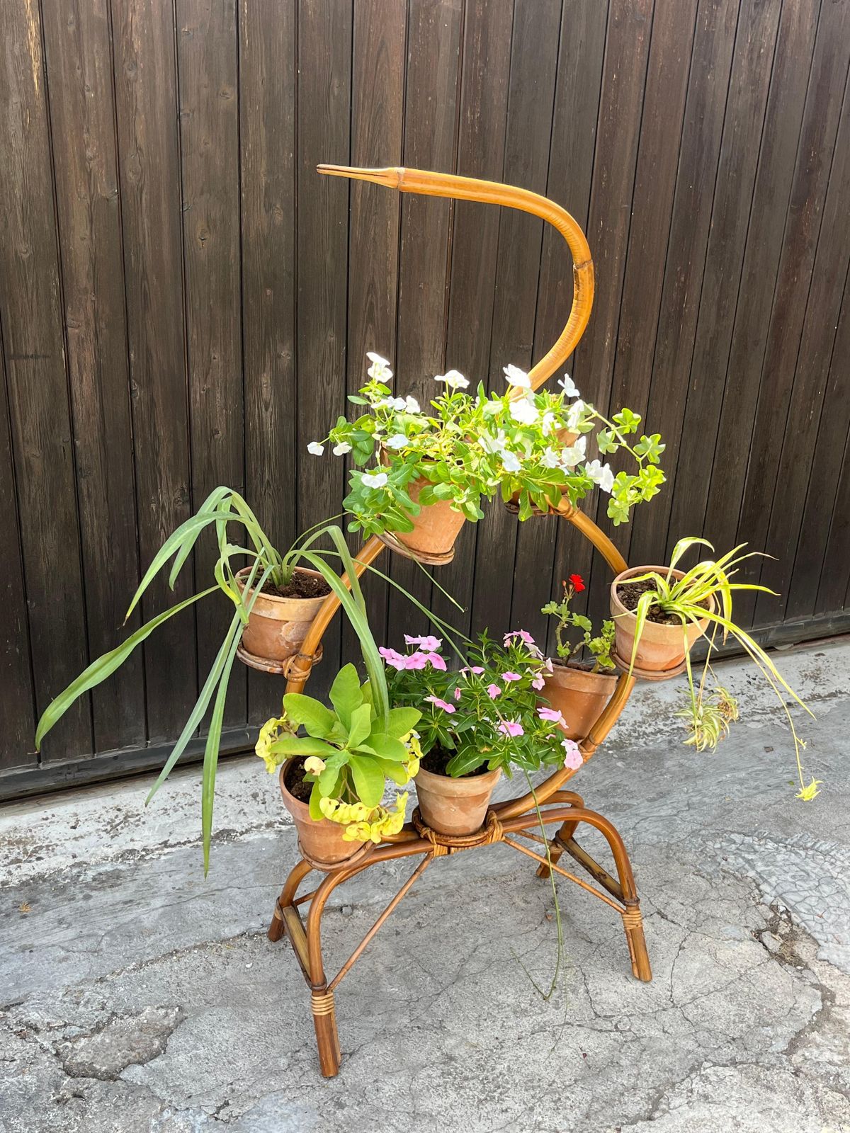 Vintage Italian Bamboo Plant Holder 1970s photo for sale