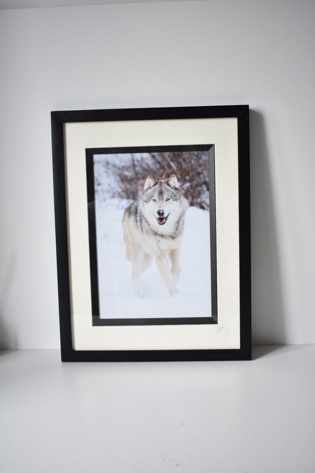 Wolf Original Photography Print Mounted Framed Mike Perez Wildlife Wolves Signed photo vinterior