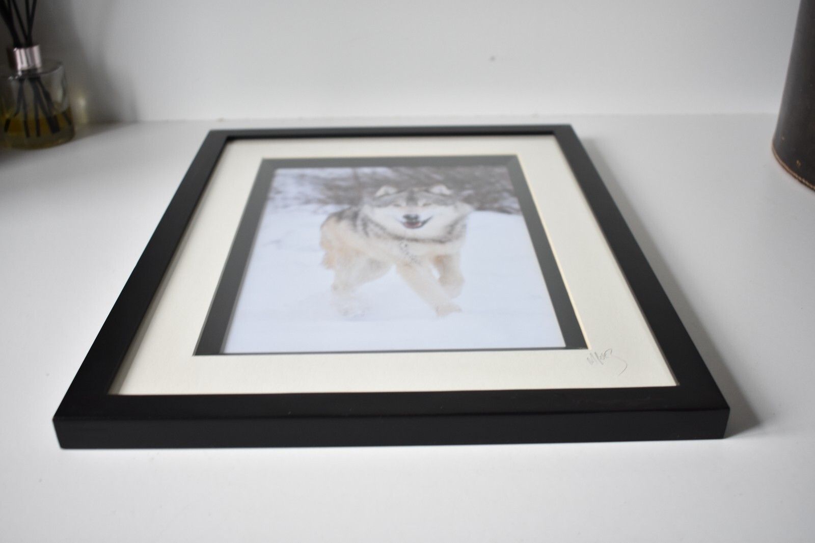 photo for sale Wolf Original Photography Print Mounted Framed Mike Perez Wildlife Wolves Signed