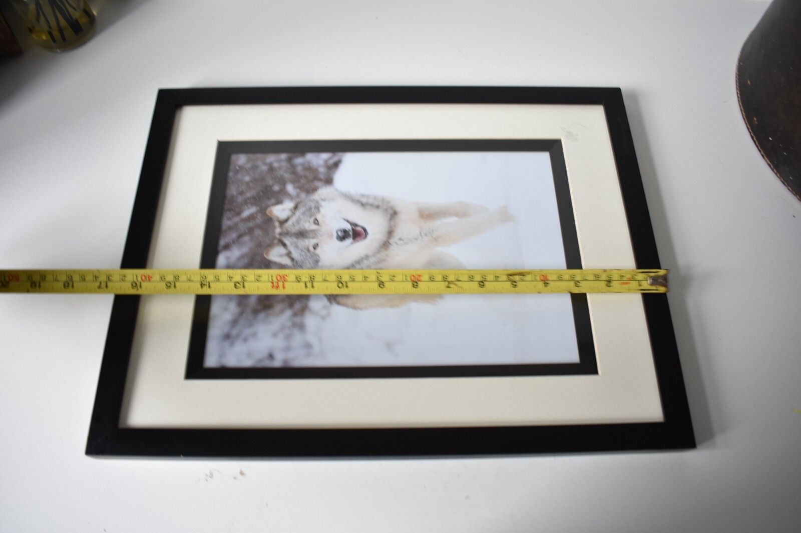 photo vinterior Wolf Original Photography Print Mounted Framed Mike Perez Wildlife Wolves Signed