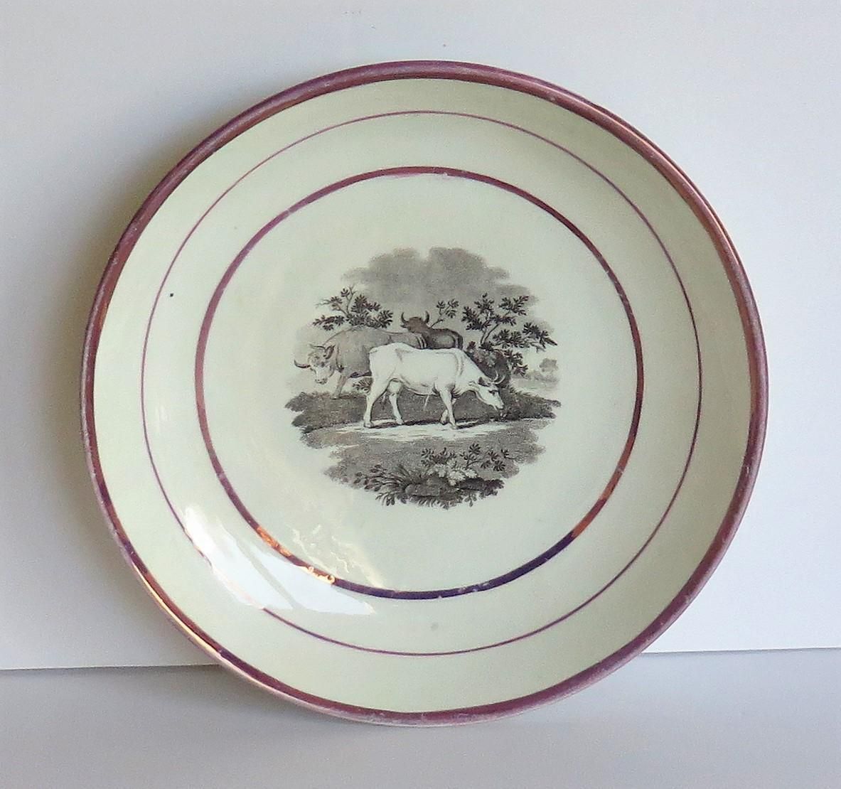 Georgian Sunderland Porcelain Lustre Dish Or Plate, English Early 19th Century photo Home Decor