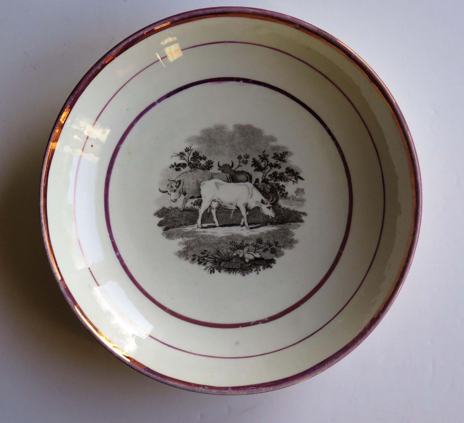 Georgian Sunderland Porcelain Lustre Dish Or Plate, English Early 19th Century photo vintage