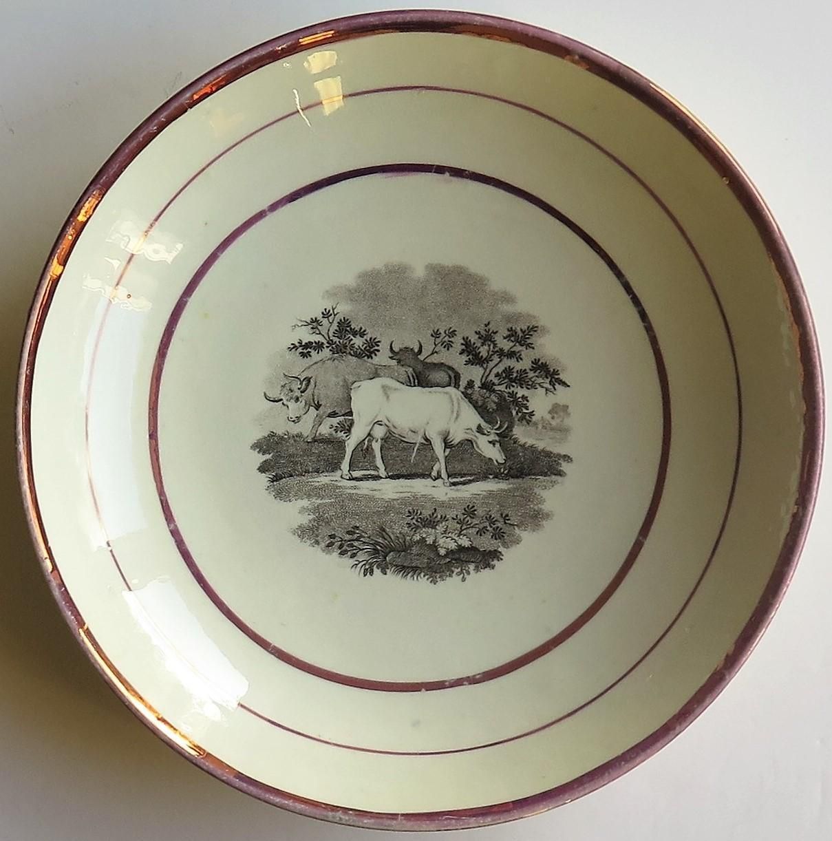 photo for sale Georgian Sunderland Porcelain Lustre Dish Or Plate, English Early 19th Century