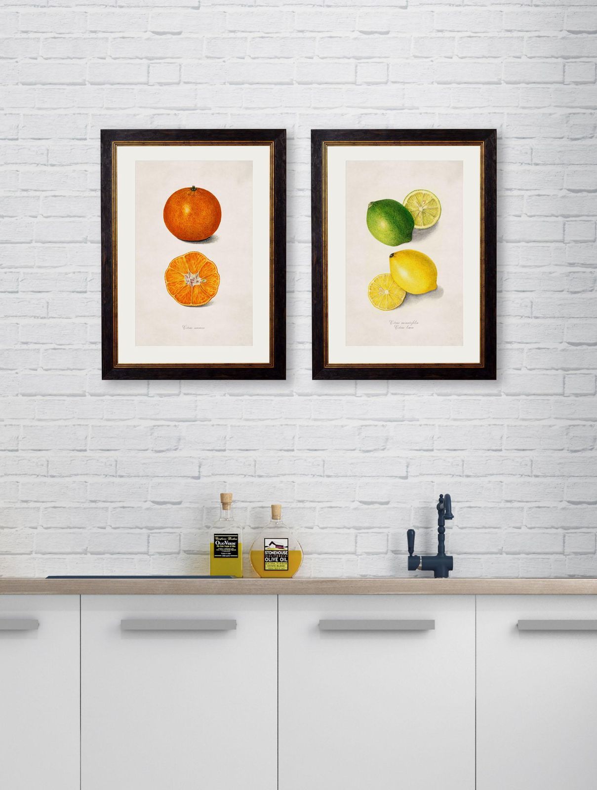 Set Of Two Framed Prints Of Citrus Fruit Study From Originals Of 1886, New photo furniture