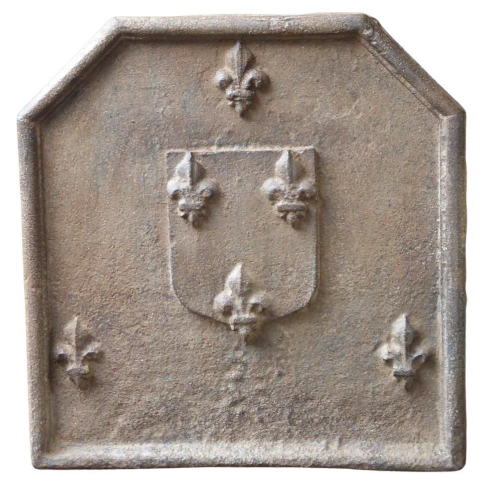 17th   18th Century French Louis XIV 'Fleurs De Lys' Fireback / Backsplash