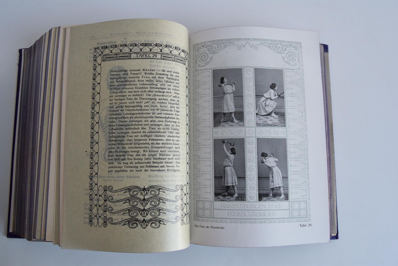 Home Decor Historical Book "Die Frau Als Hausärztin" From 1918   A Unique Collector's Item photo
